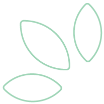 Leaf vector icon | Medicinal Cannabis Consultants Australia | Balnce
