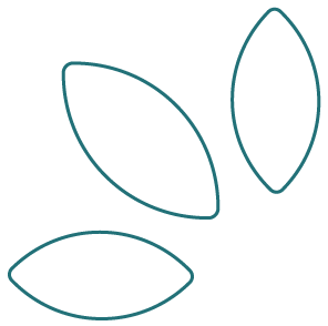 Plant leaves icon | Cannabis Access Clinic | Balnce