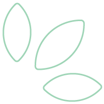 Leaf icon | Medicinal Cannabis Consultants Australia | Balnce